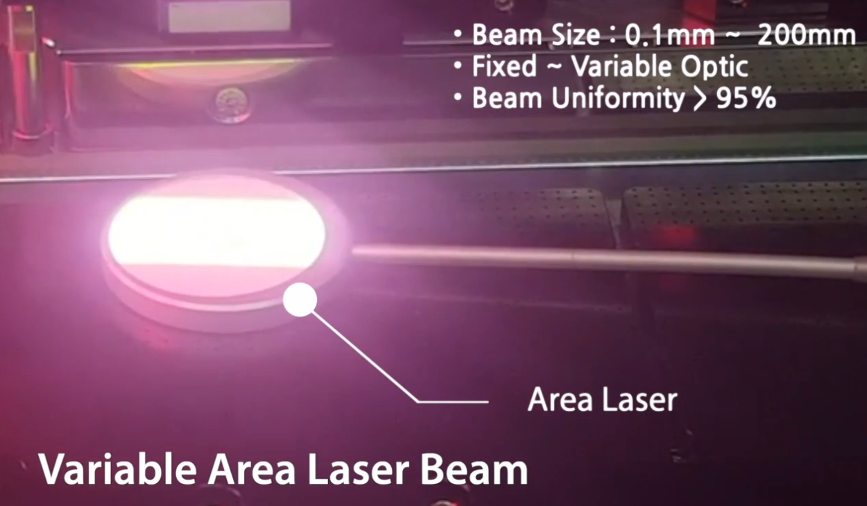 레이저쎌 홈페이지 이미지2