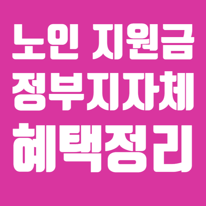 노인 지원금 정부 지자체