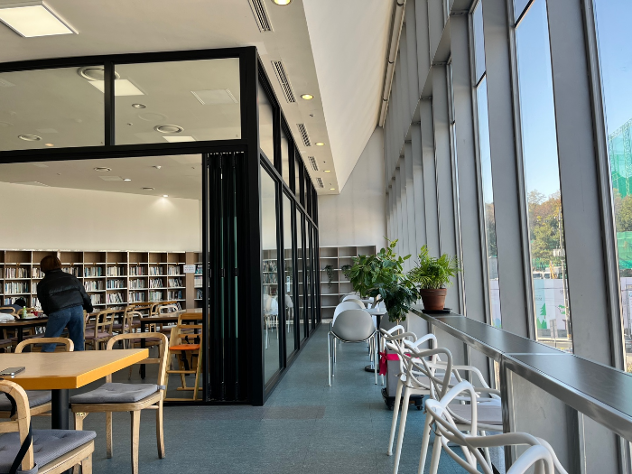 귀여운 작은 야자나무와 창가좌석