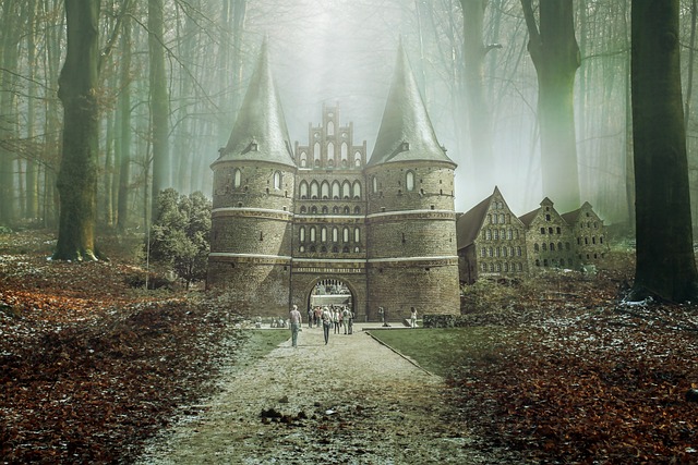 중국 소설 플랫폼별 인기 작가 비교