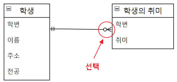 관계의 선택 기호
