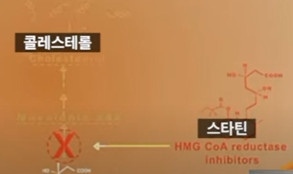 스타틴의 치료 원리