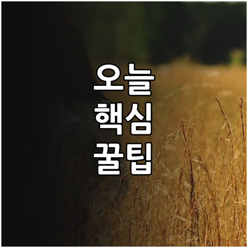 2025 단양군 청년부부 정착지원금 ..