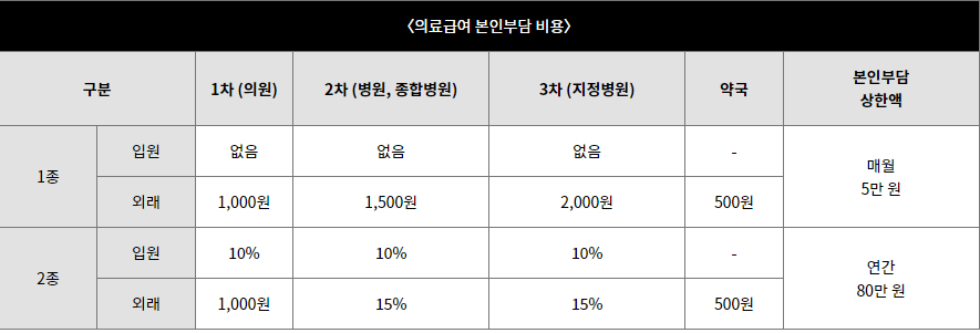의료급여 본인부담 비용-이미지