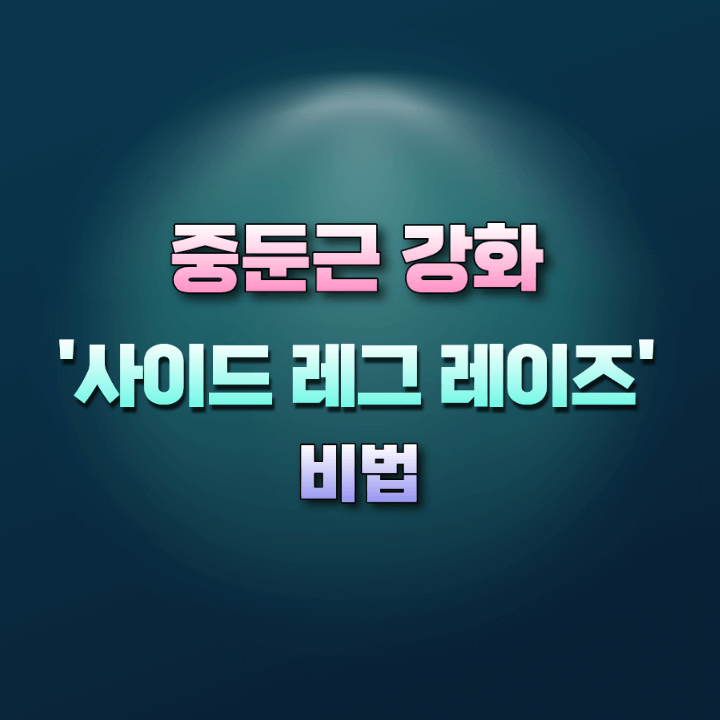 사이드레그레이즈비법