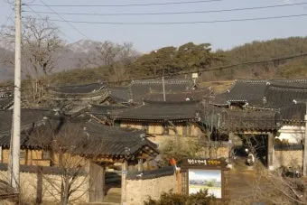 농한기 수익 아이템 건조채소 장아찌 씨앗판매 체험농장_32