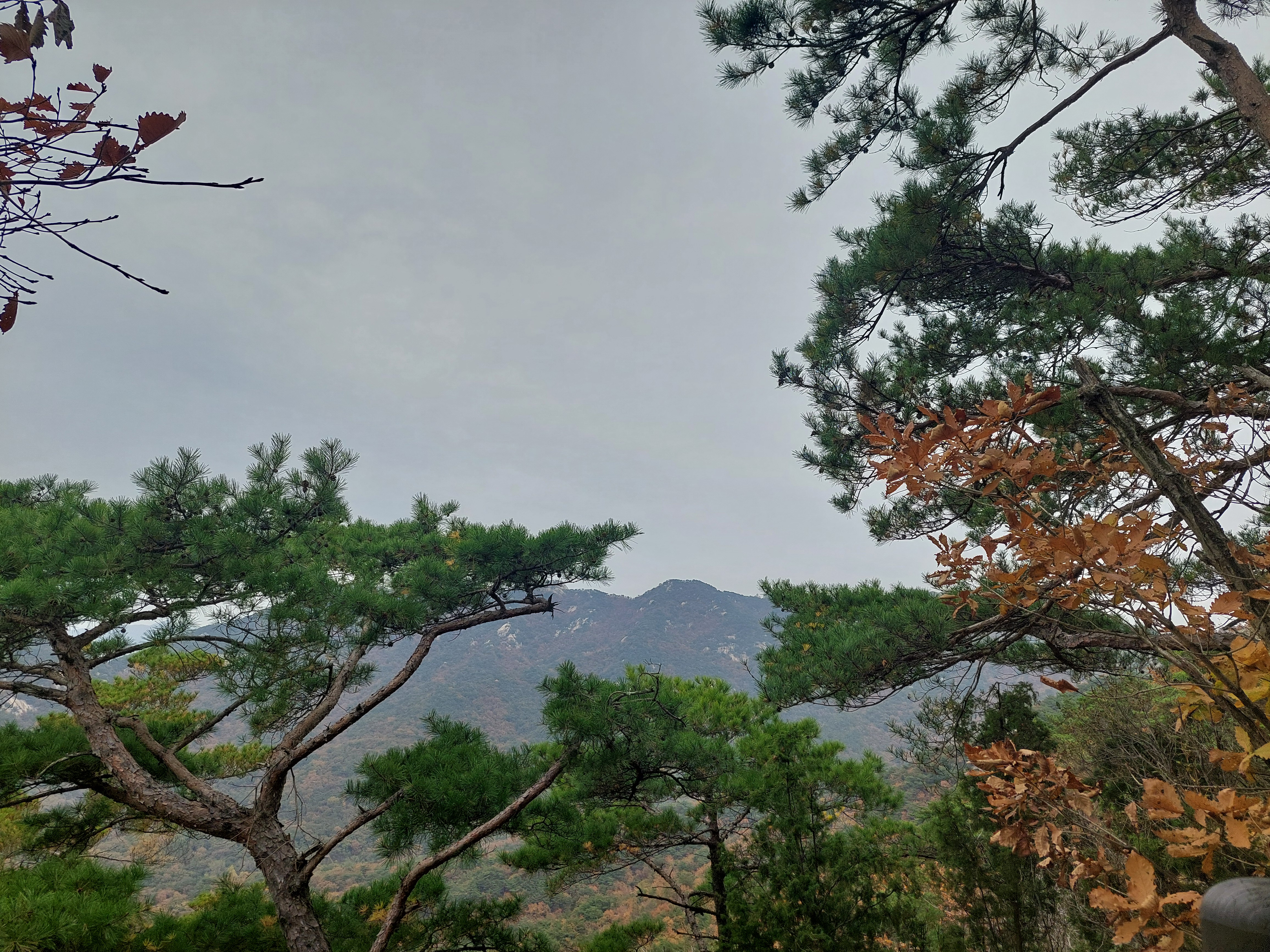 숨은벽