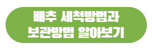 배추