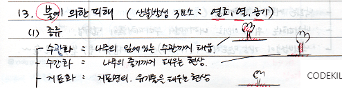 불에 의한 피해