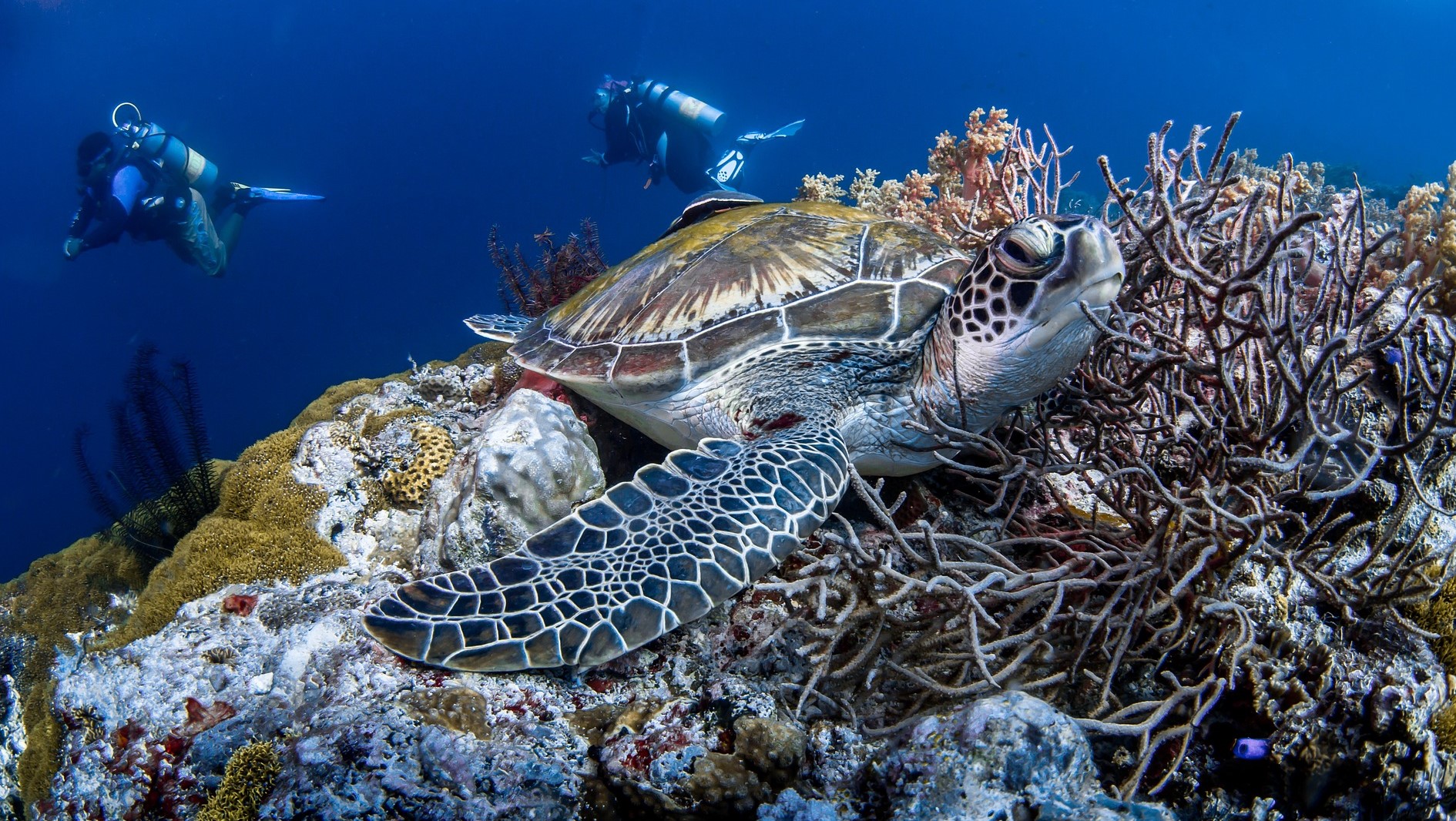 저렴한-가성비-해외여행지-필리핀-세부