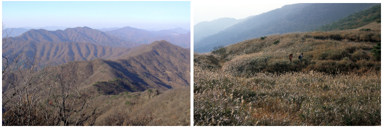 천마산 과 신불산 소개 사진