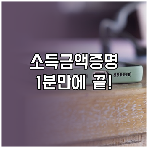 스마트폰 정부24 앱 활용 소득금액증..