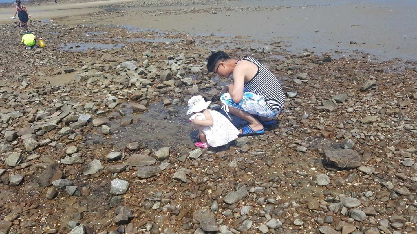 꽃지 해수욕장
