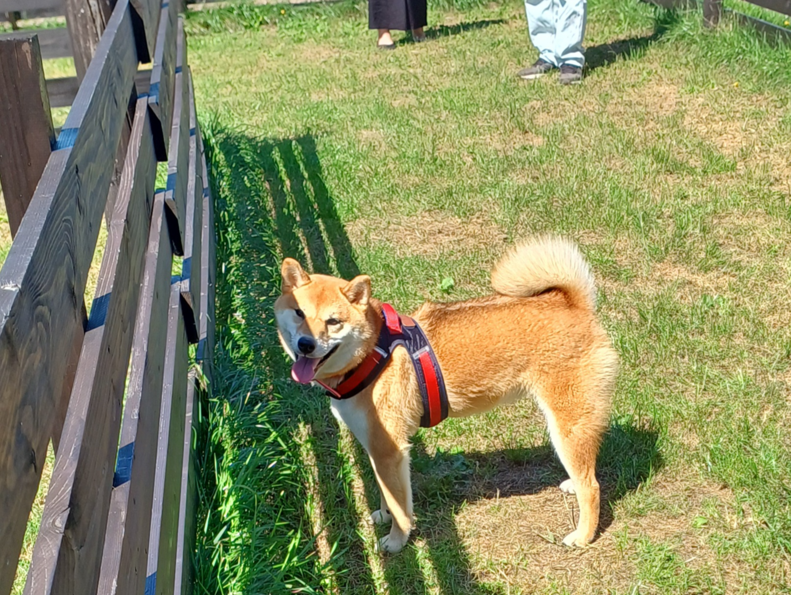 삿포로-비에이-투어-청의호수-4