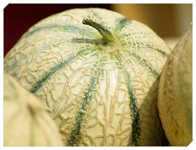 식도염 좋은 음식