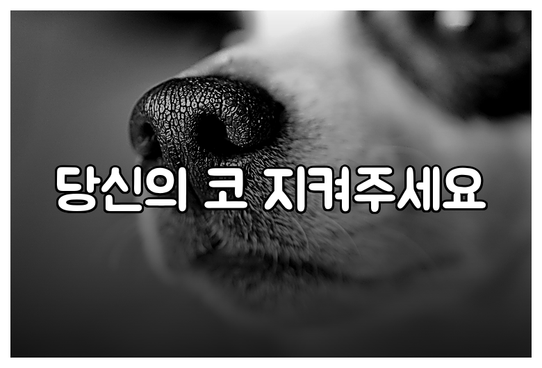 당신의 코 지켜주세요