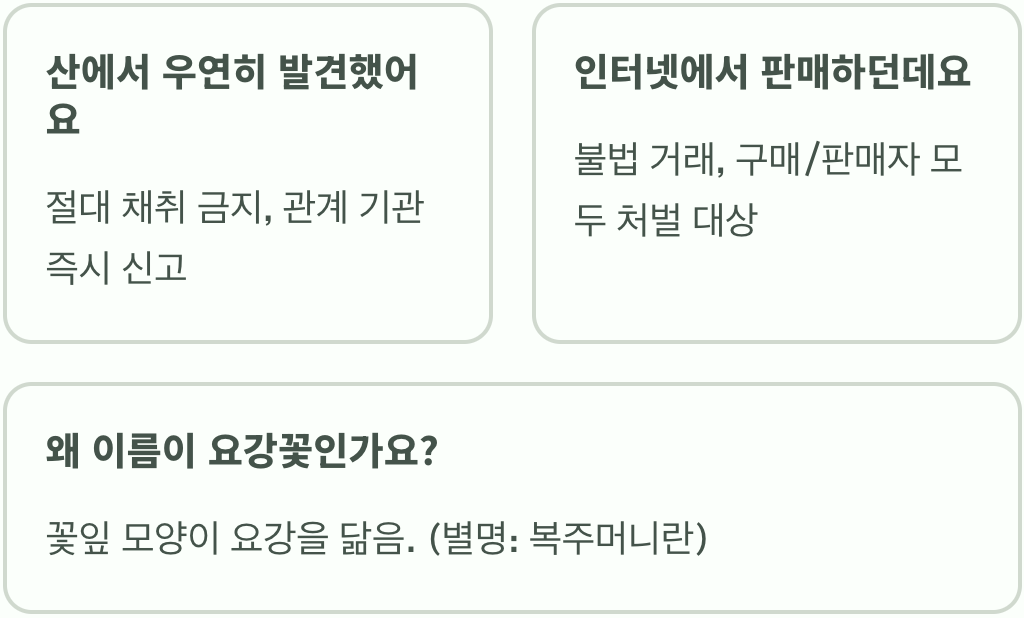 멸종위기종 광릉요강꽃, 집에서 키우기 가능할까?