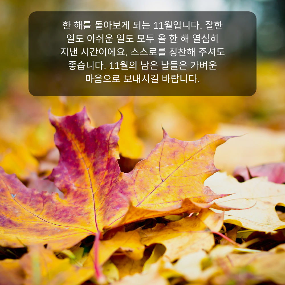 11월 인사말 4 한 해를 돌아보는 11월 인사말 이미지