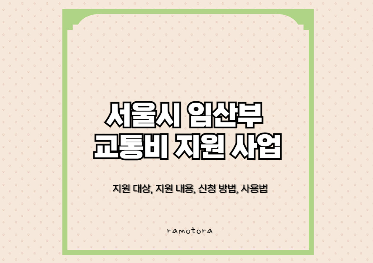 서울시 임산부 교통비 지원 사업