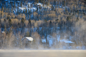 기후 변화와 생물다양성: 사라지는 종, 무너지는 생태계