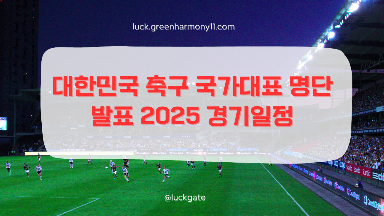 대한민국 축구 국가대표 명단