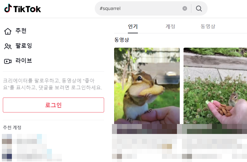 4K Tokkit, 틱톡 영상 다운로드(틱톡 동영상 일괄저장) 프로그램