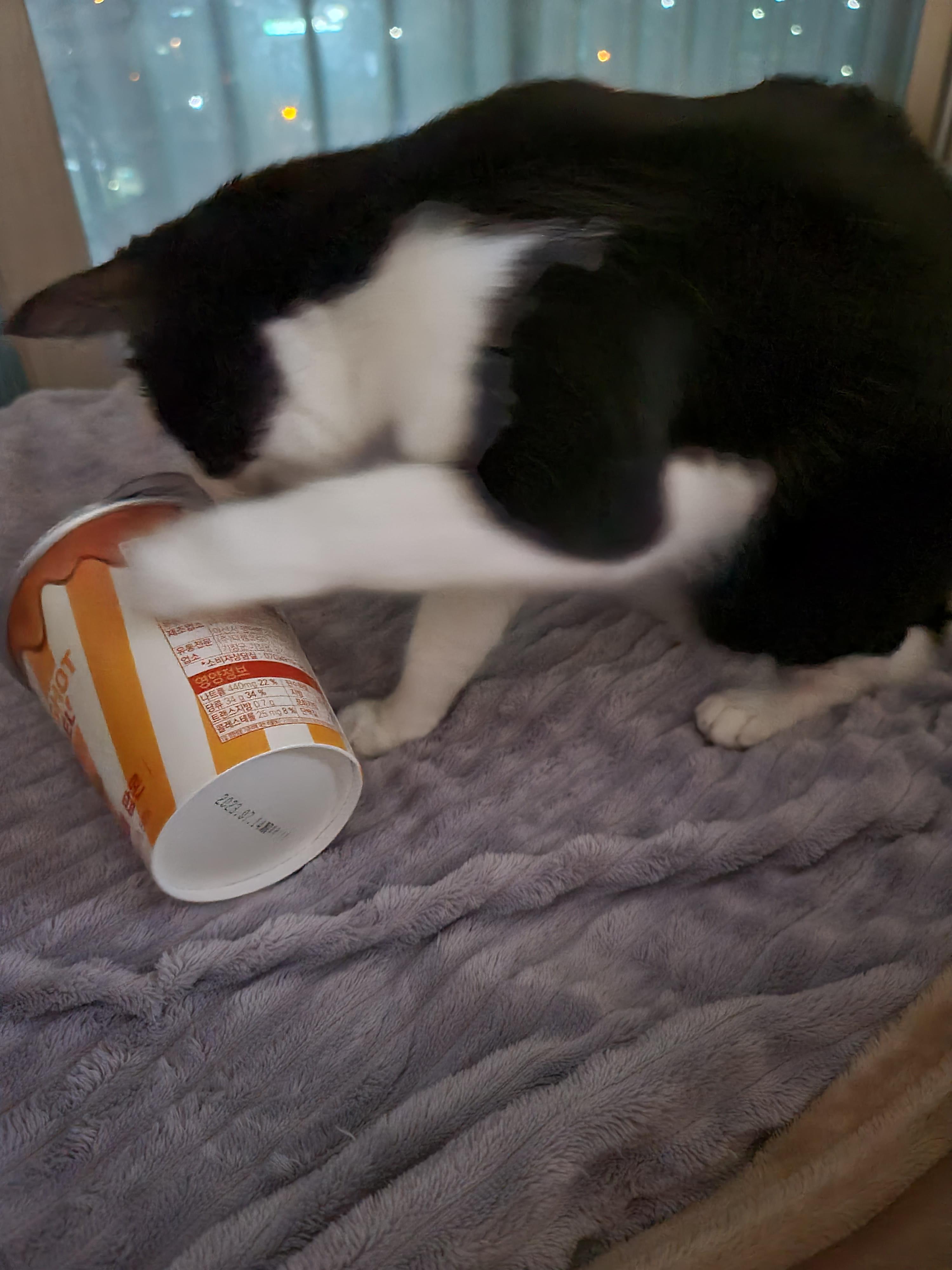 엄마 간식에 관심이 많은 막둥이 라인 ㅋ(딸VS아들 반응)