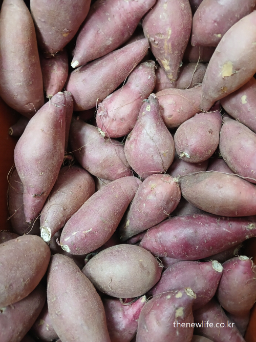 &quot;Korean sweet potatoes with purple skin piled up at a local market – heart-friendly food for cholesterol control&quot;- &quot;시장에 진열된 보랏빛 껍질의 한국 고구마 – 고지혈증에 좋은 음식&quot;