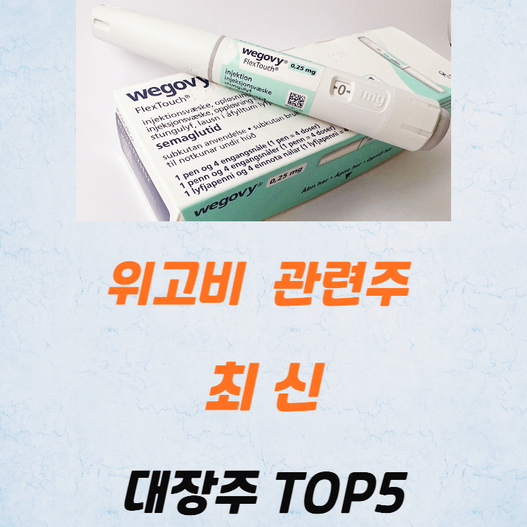 위고비 관련주 대장주 테마주 TOP5 : 비만치료제