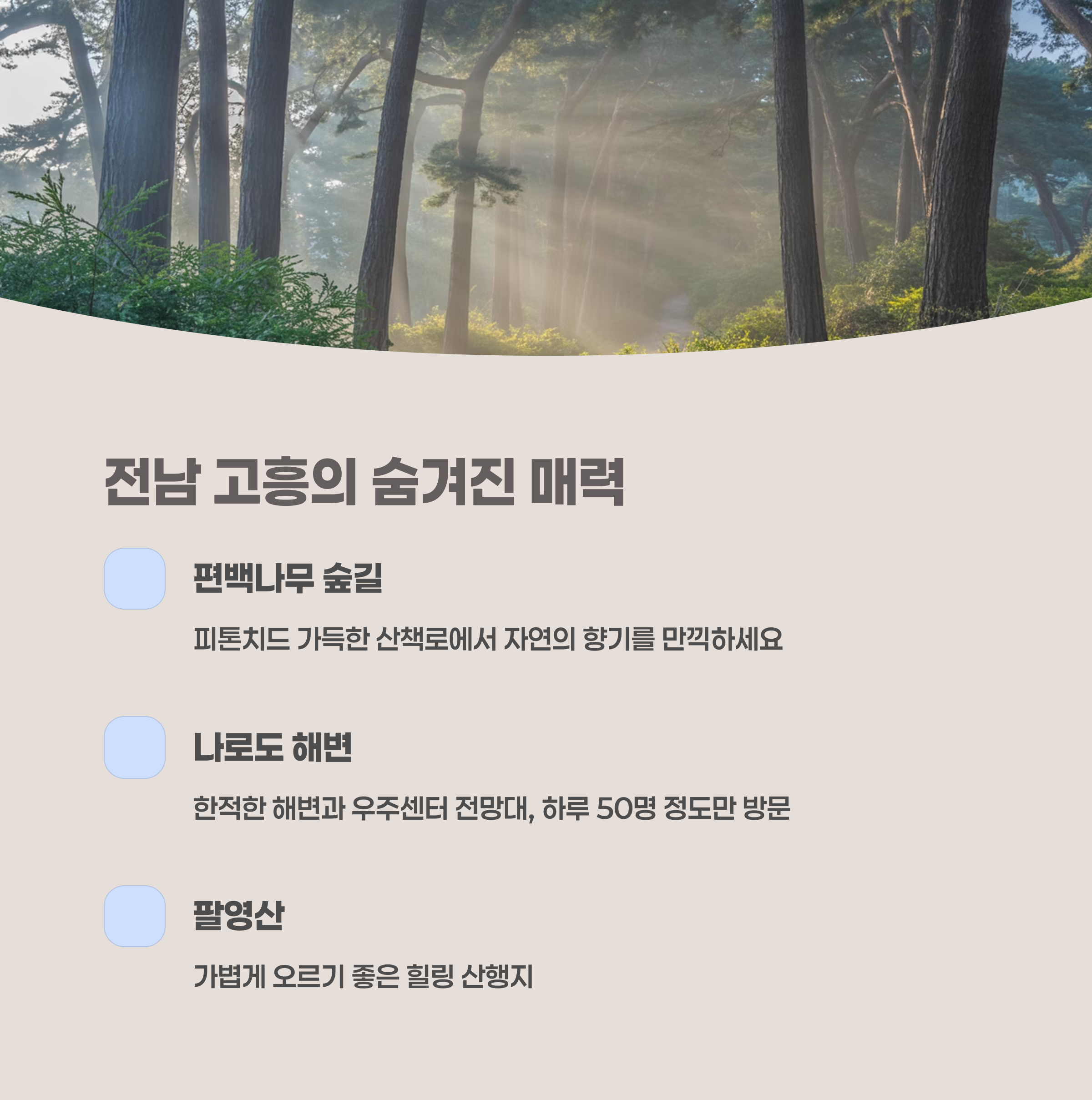 전남 고흥 – 바다와 숲이 만나는 남도의 끝자락