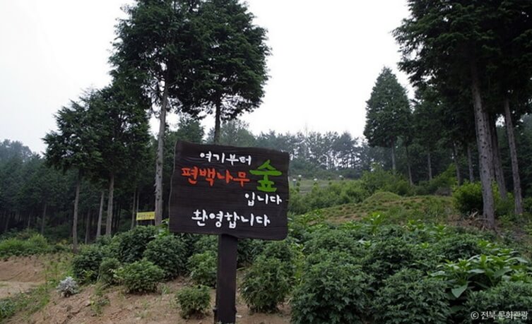 익산 가볼만한곳 베스트 10