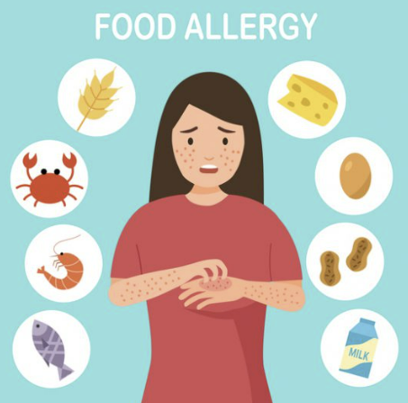 지연성 알러지 검사 증상&amp;#44; 원인&amp;#44; 검사 비용 총정리