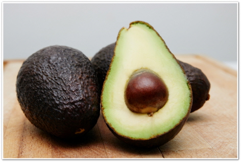 내장 지방 면적