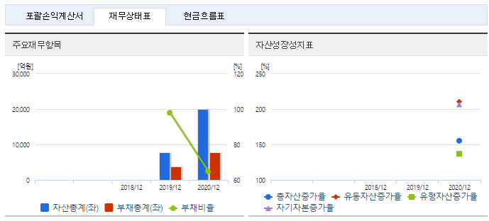 sk아이이테크놀로지 재무정보