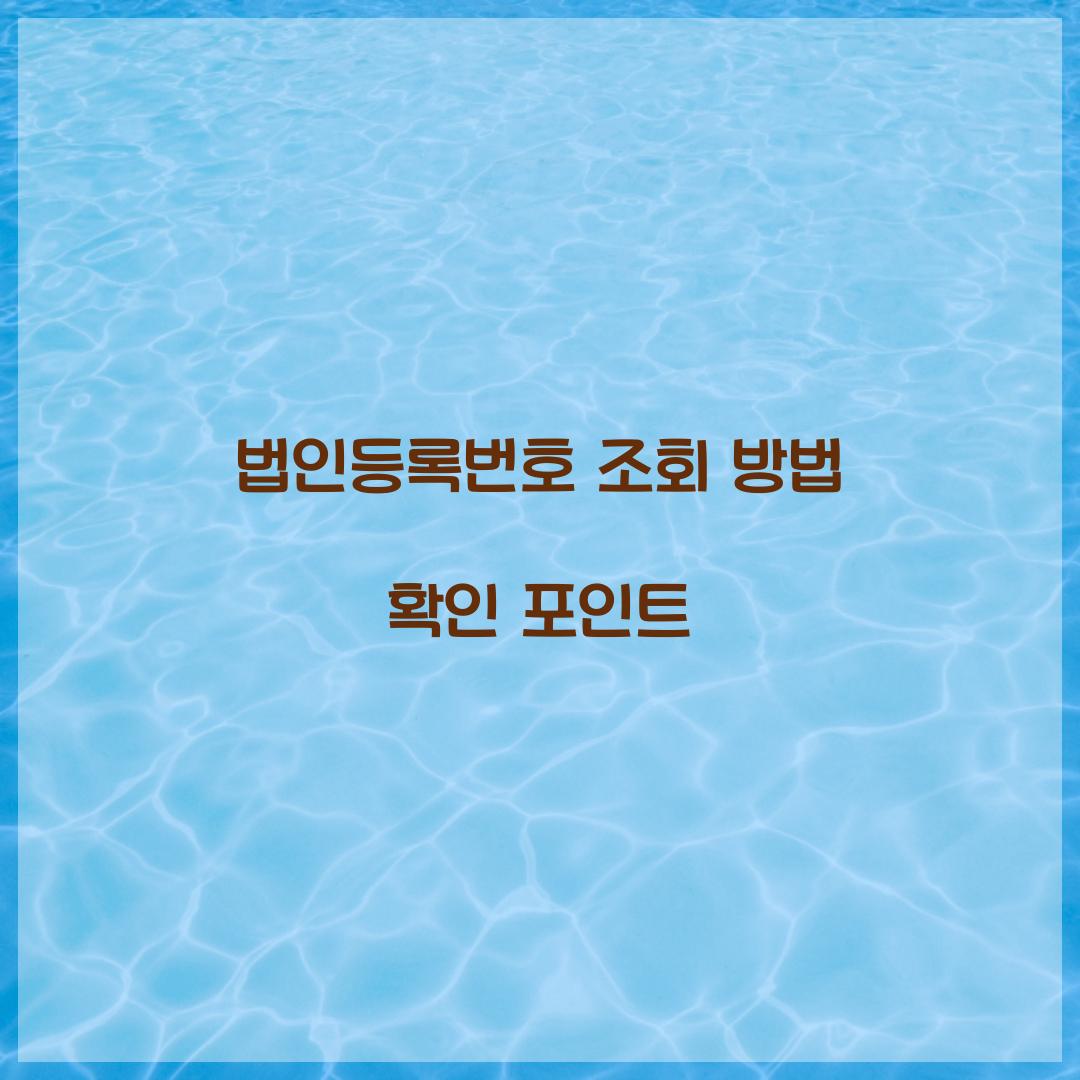 법인등록번호 조회