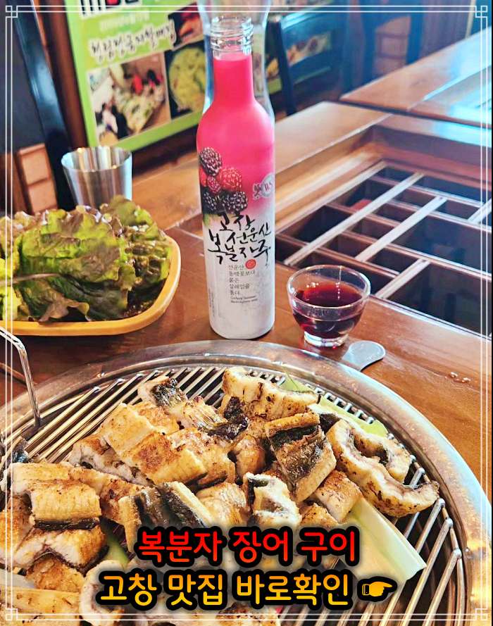 6시내고향 고창 선운사 복분자 장어구이 맛집
