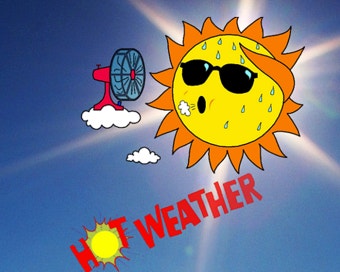 더위 날릴 여름 음식 추천 BEST 7!