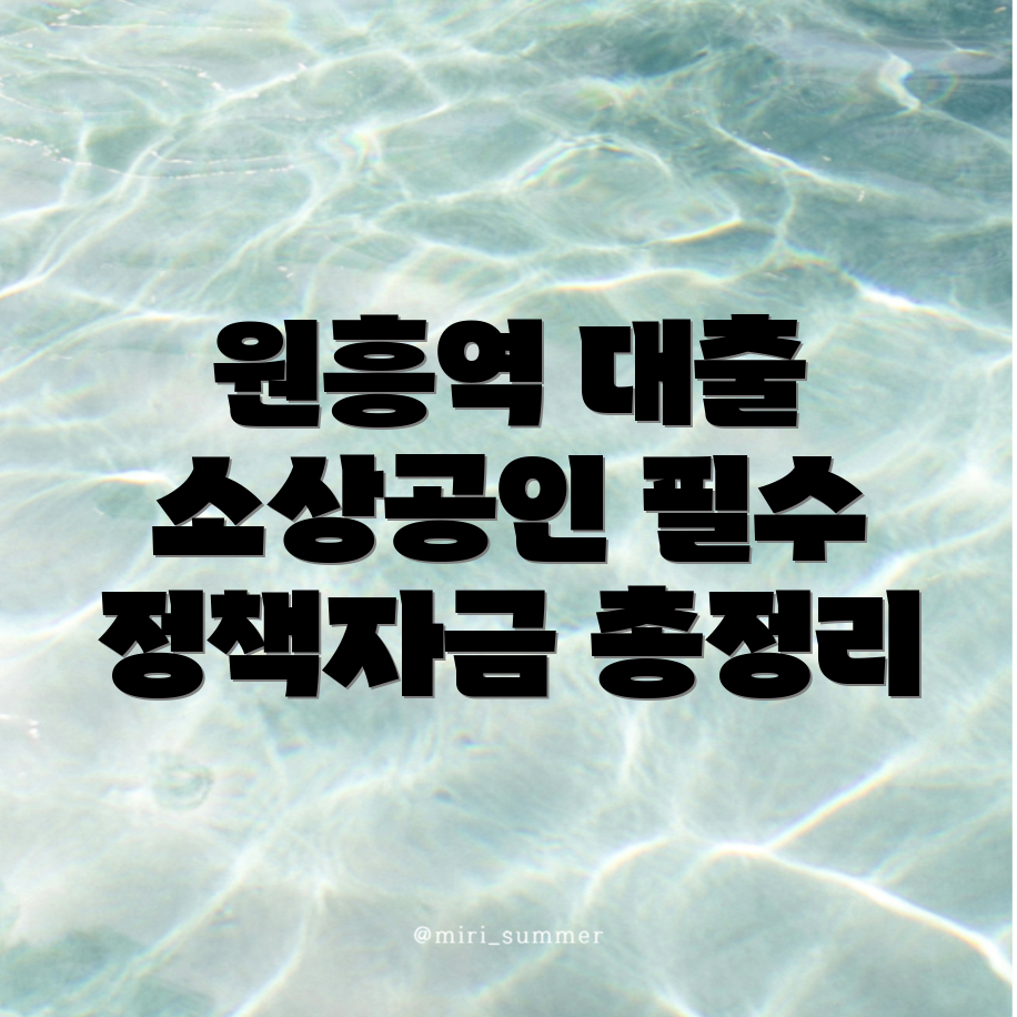 원흥역 소상공인 정책자금 대출