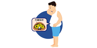 중성지방 정상수치