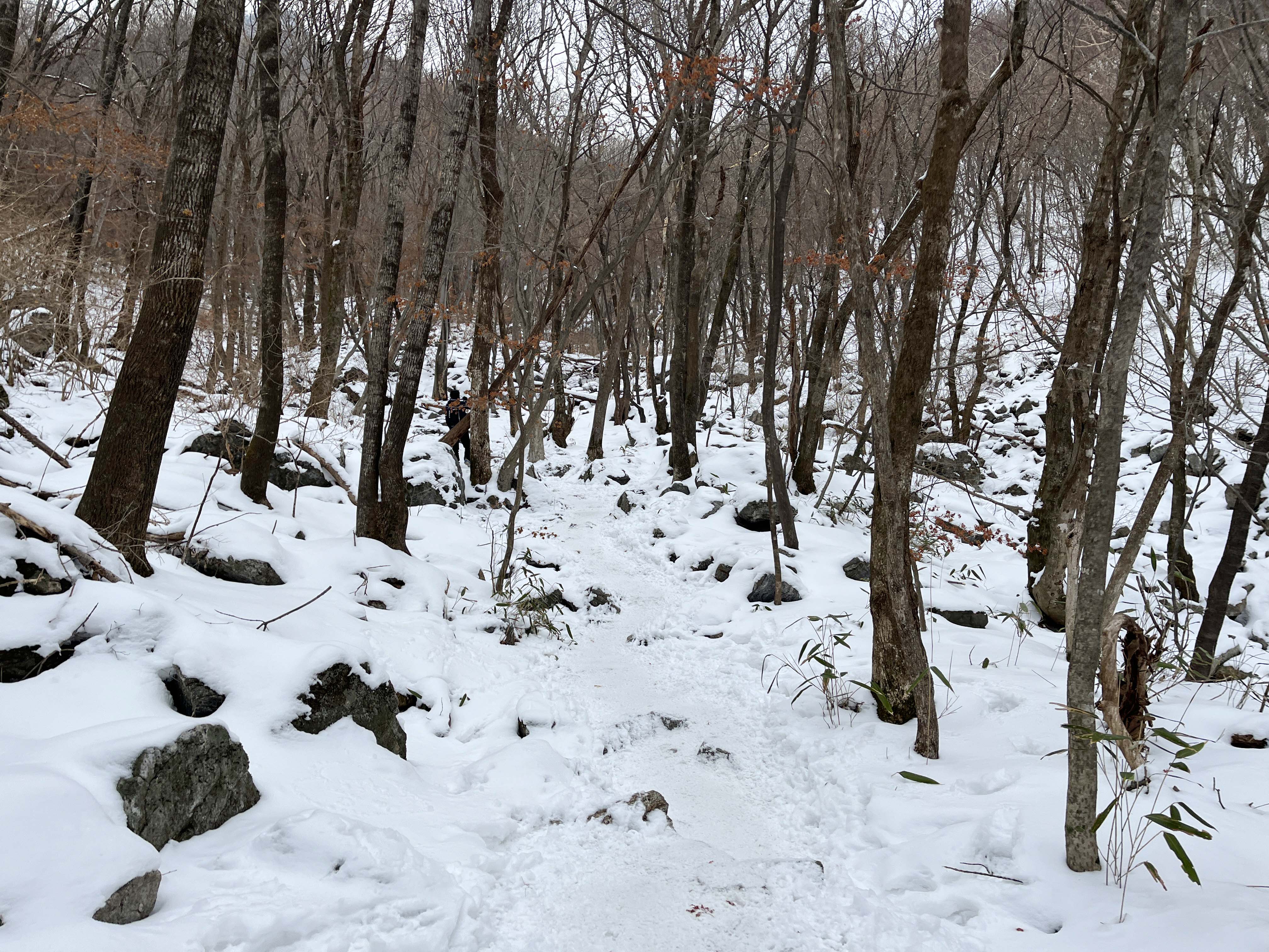 남덕유산