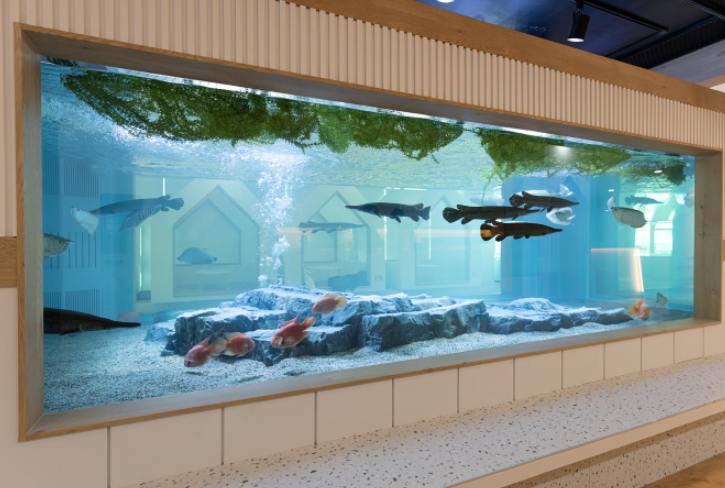 부산 명지 아쿠아 키즈카페 아쿠아플레이하우스