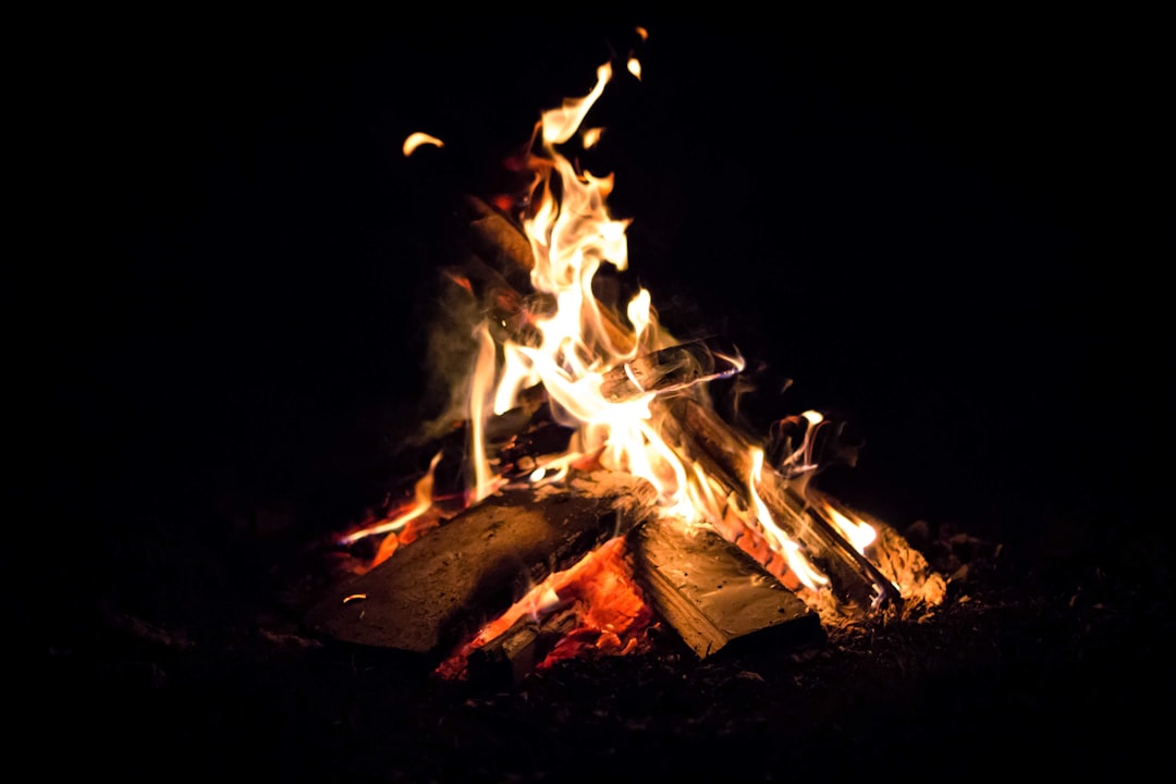 Warmth