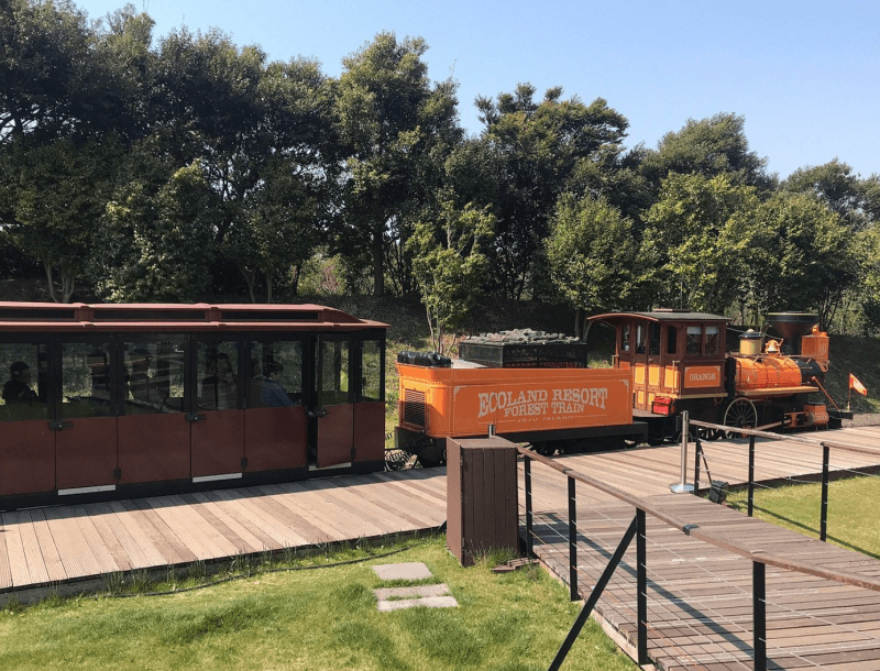 에코랜드-테마파크 1