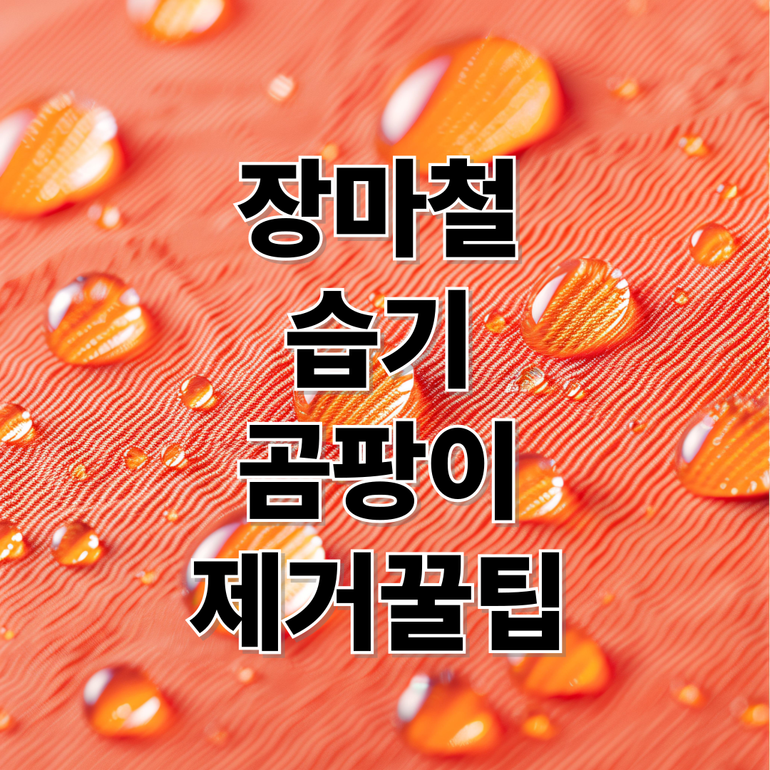 장마철 습기 곰팡이 제거 꼴팁