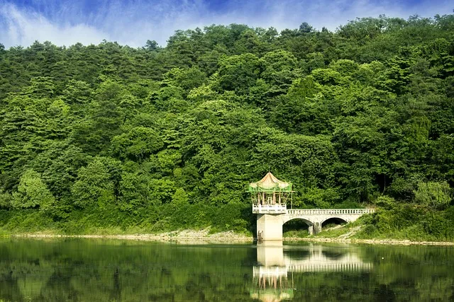 생생정보 장사의 신 텍사스식 바비큐 맛집 위치_6