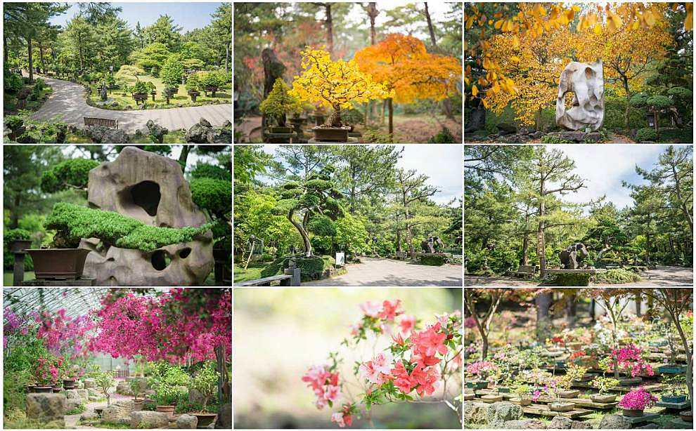 제주 한림공원 수국축제