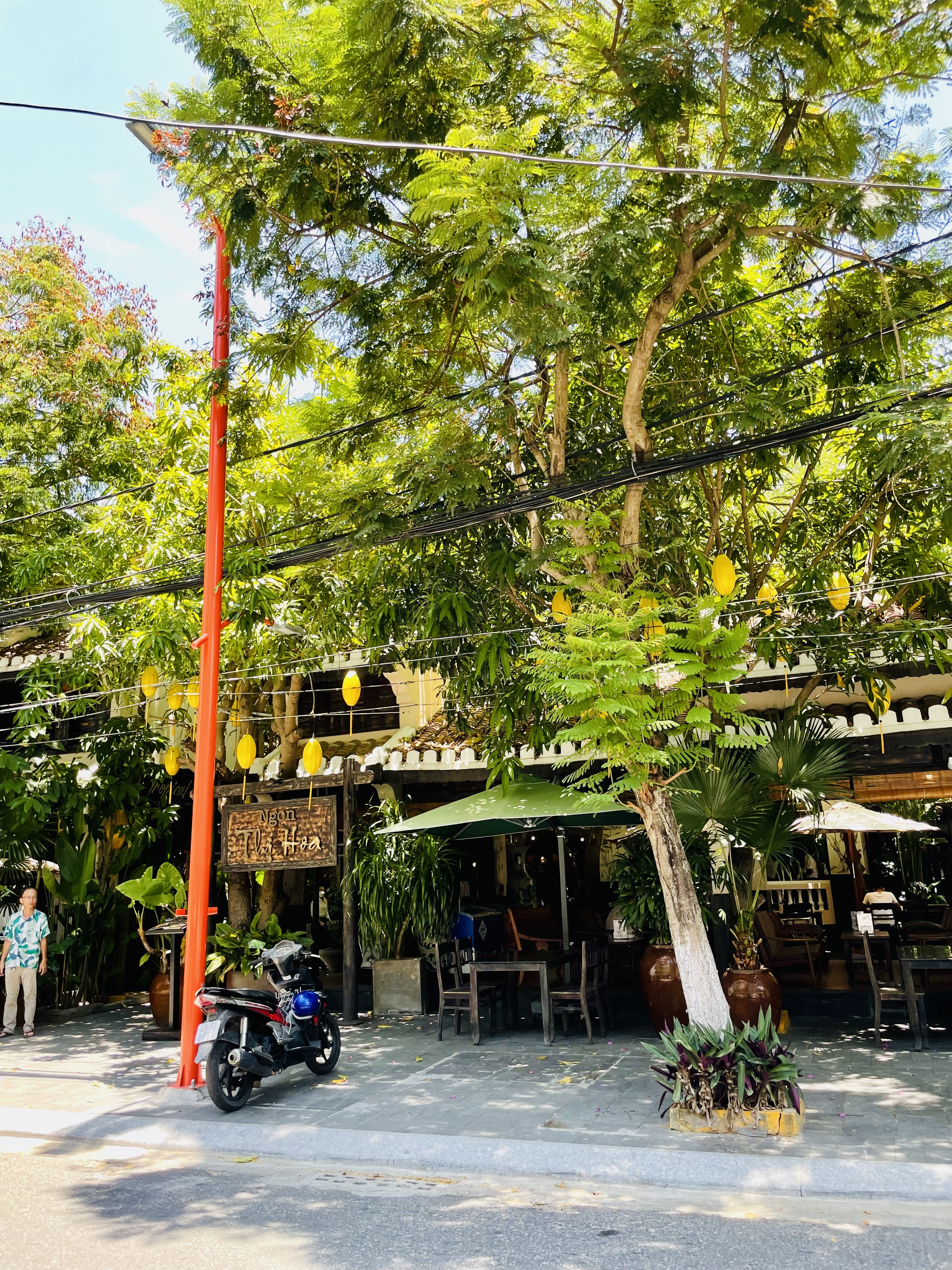 ngon thi hoa