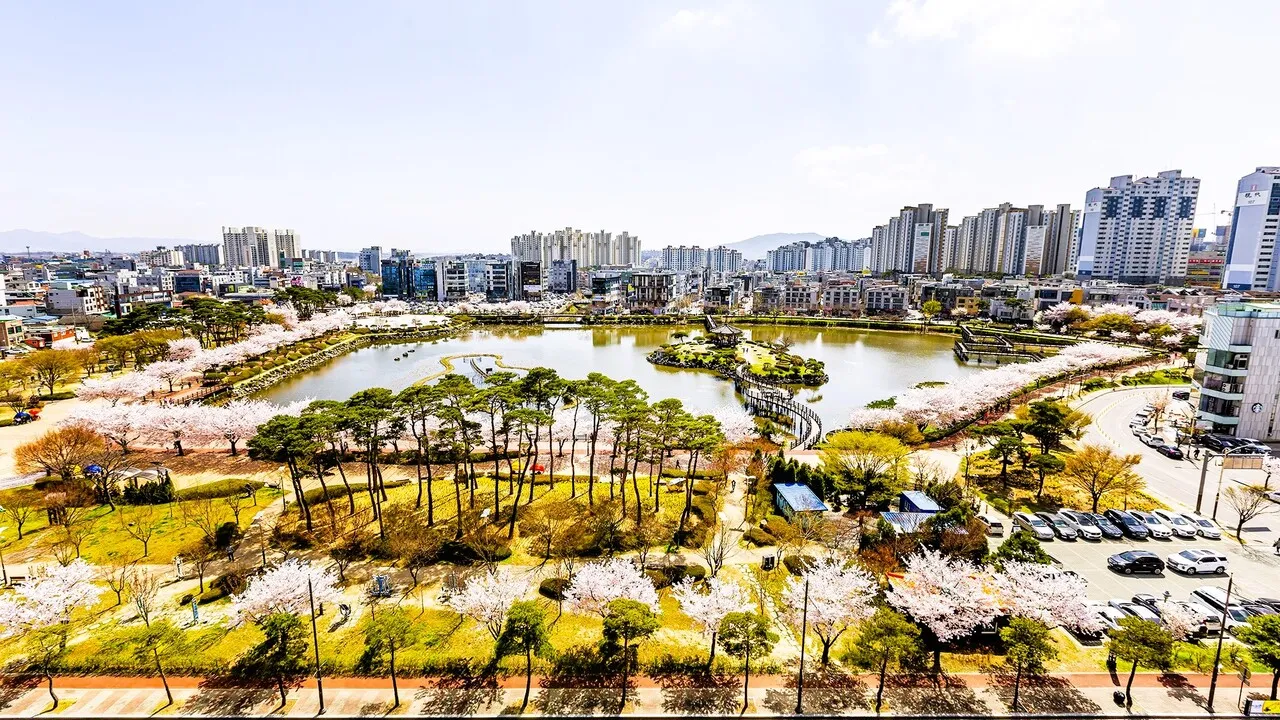 봄꽃 여행 성지 충남 서산 명소 BEST5_8