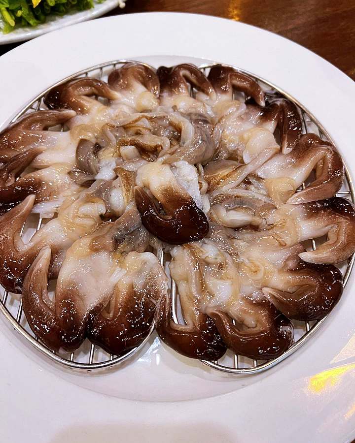 6시내고향 홍성 남당항 새조개 샤부샤부 전국 택배 주문 구매 가능 쭈꾸미 해산물 맛집 오늘 방송 추천 