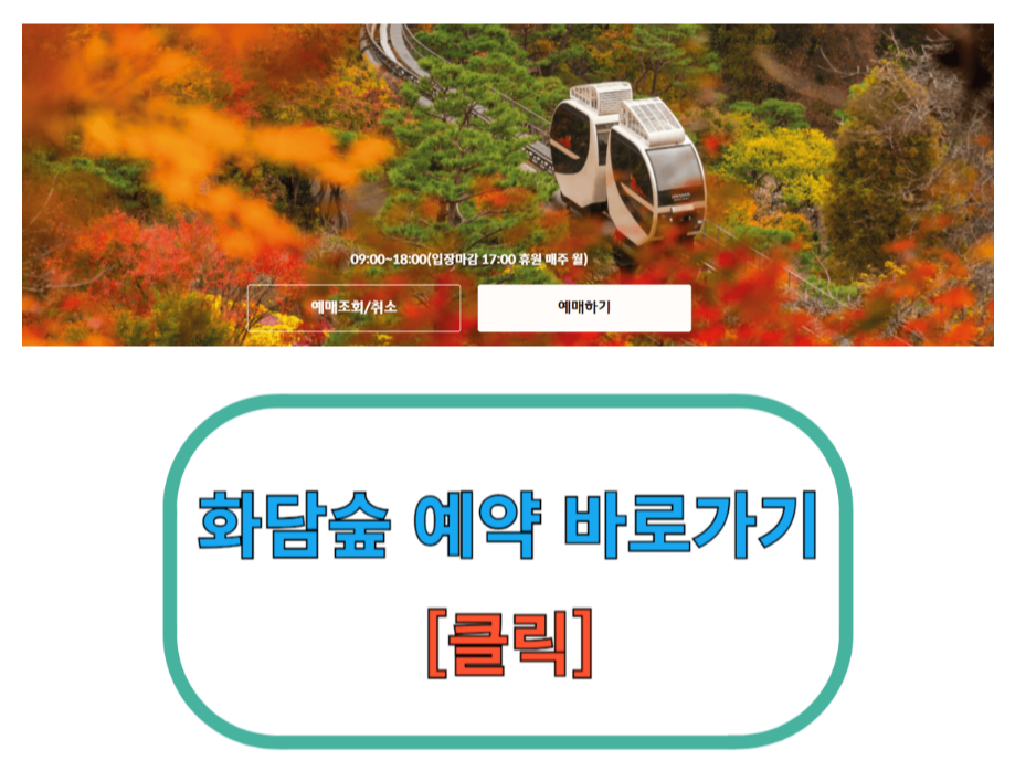 [10월 국내 여행지 추천] 핑크뮬리 / 팜파스 그라스 / 구절초 / 코스모스 / 억새 가을꽃 구경 장소 명소